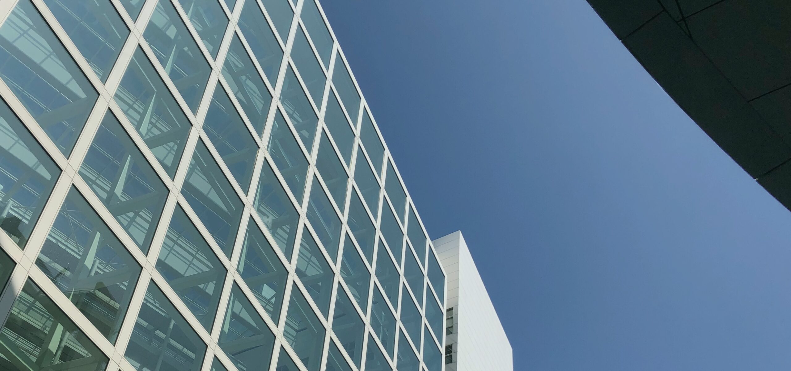 Gemeente Den Haag Pionieren met een UX lab